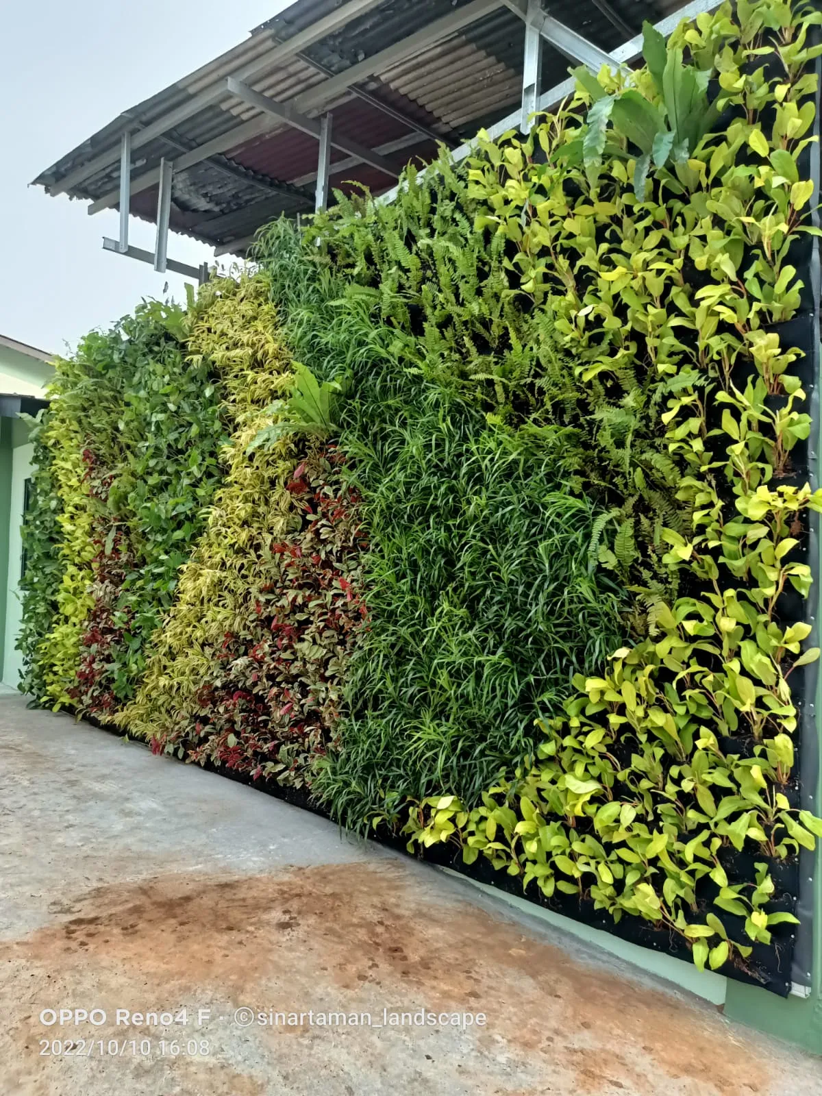 jasa vertical garden di bintaro